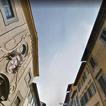 Gallo Florence
